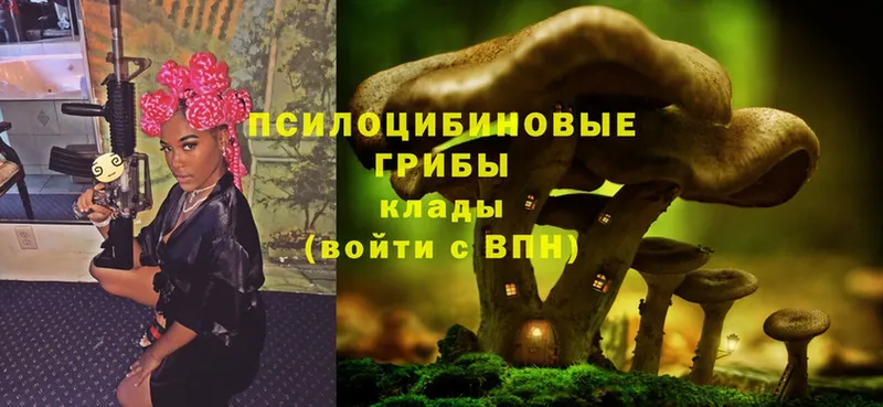 Псилоцибиновые грибы Psilocybe  Подольск 